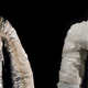 Illustration for article titled Smithsonian Kickstarter Campaign Raises Over $700,000 to Restore Apollo Spacesuits